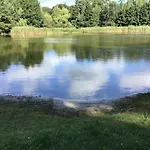 Welsh Dragon Siedlung Schonwalde