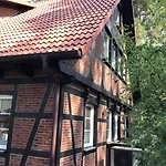 Welsh Dragon * Siedlung Schonwalde