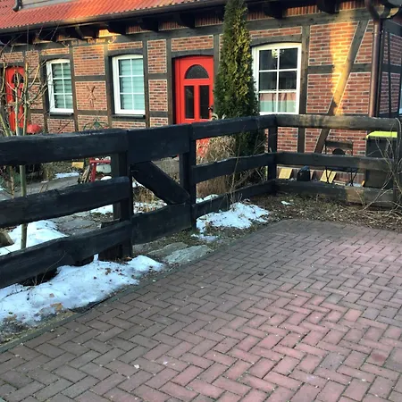 Welsh Dragon * Siedlung Schonwalde