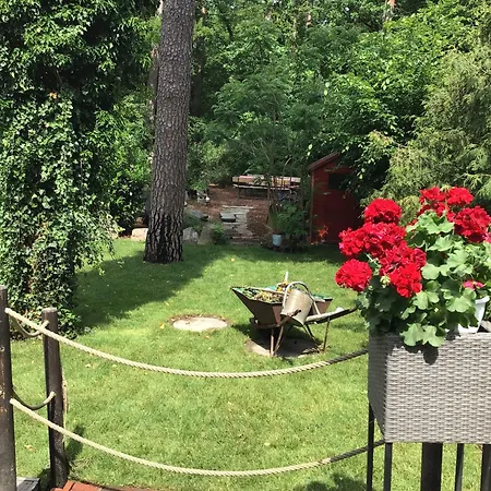 펜션 Welsh Dragon *