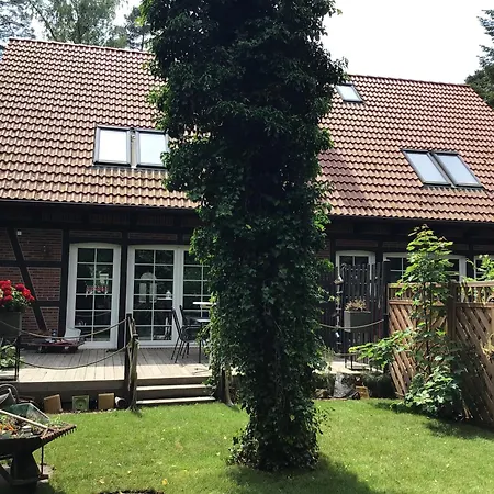 Welsh Dragon * Siedlung Schonwalde