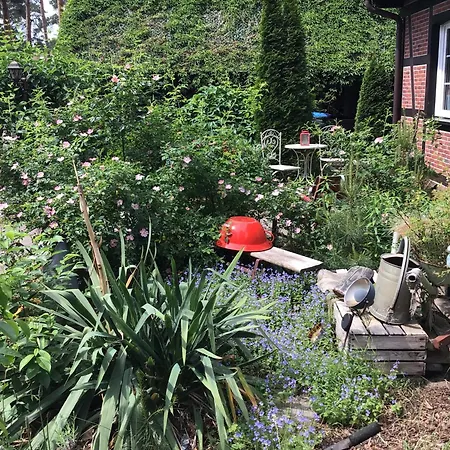 펜션 Welsh Dragon *