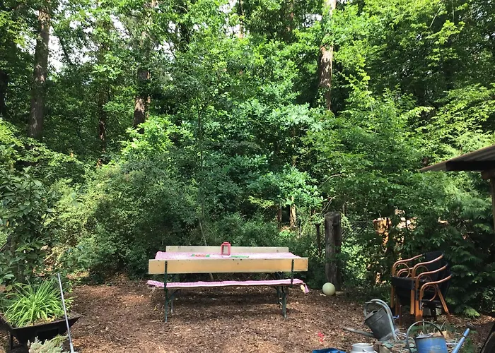 Welsh Dragon 펜션 Siedlung Schonwalde