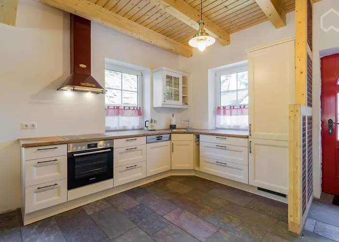 Welsh Dragon * Siedlung Schonwalde