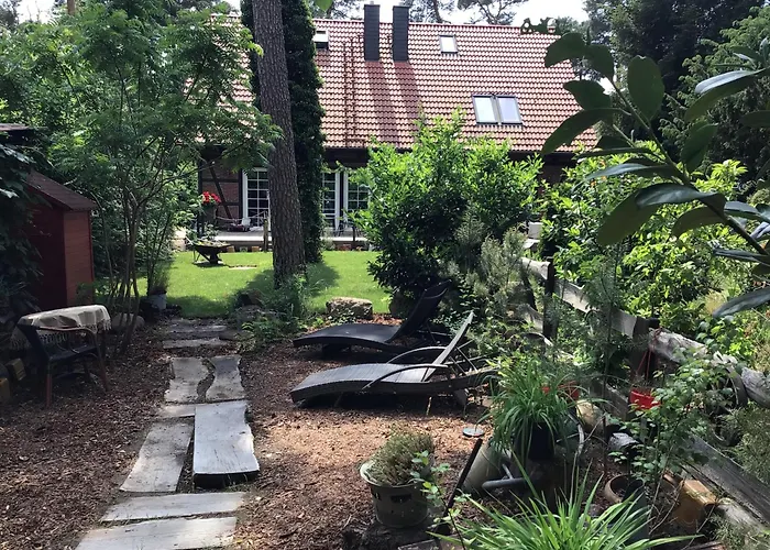 Welsh Dragon 펜션 *